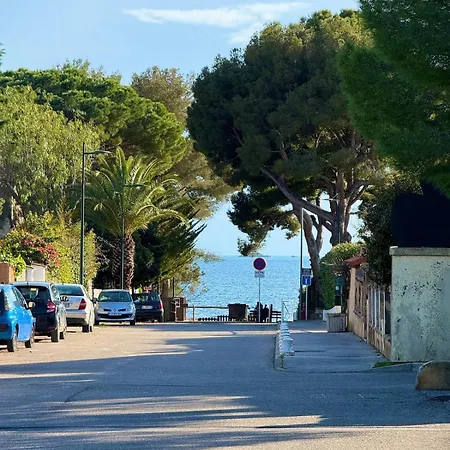 Royal Rivage - Piscine - A 200m *